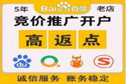 初探SEM推广代运营的多种成功模式